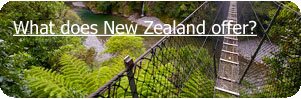 What does New Zealand offer?